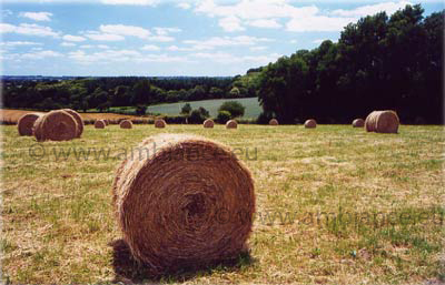 domaine Frankrijk safaritent